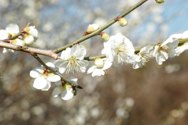 2月