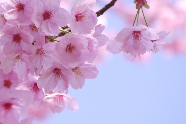 4月