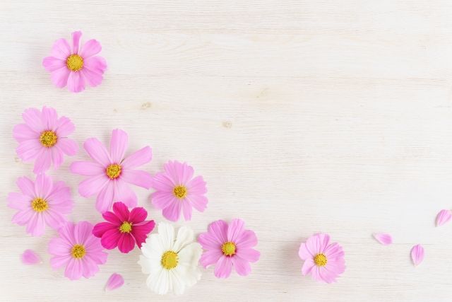 9月