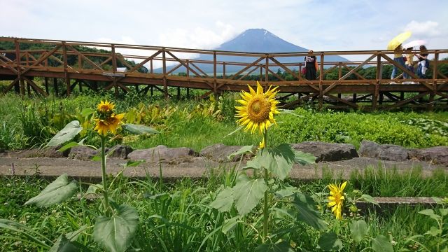 8月