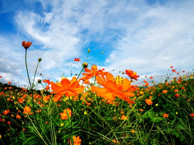 9月