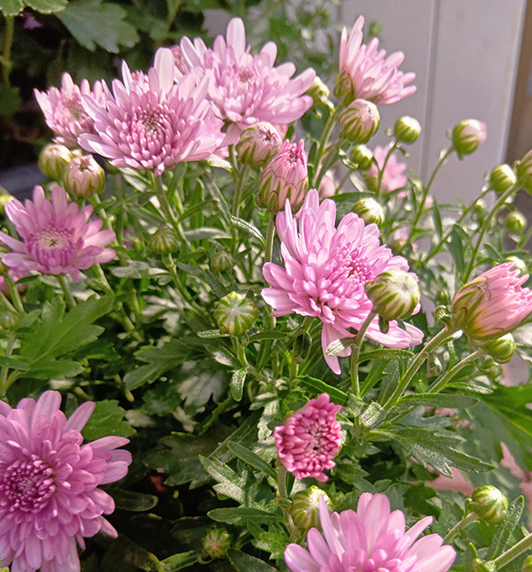 10月